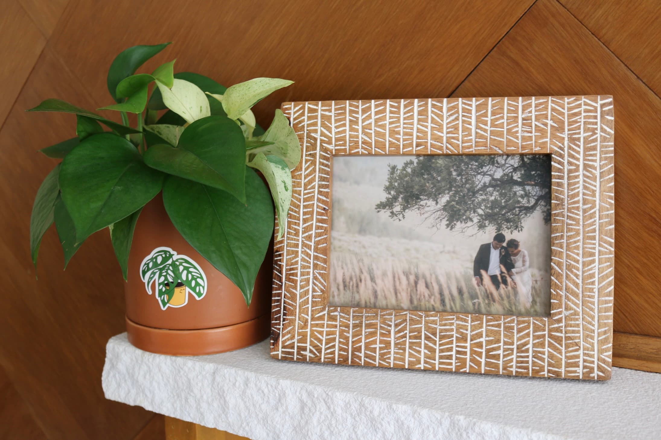 A pothos in a terracotta pot wearing a Canopy Pal, beside a framed photo of Kara and Dylan in a field.