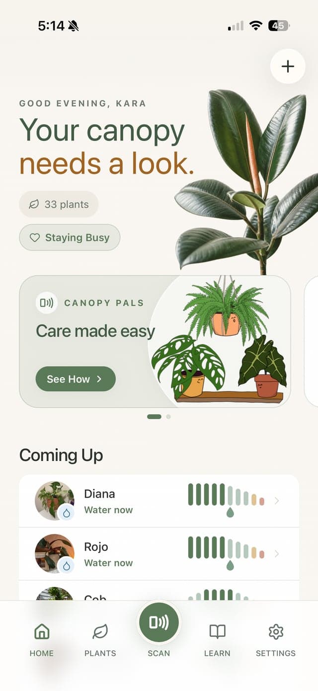 The Canopy home screen with plants coming up for care