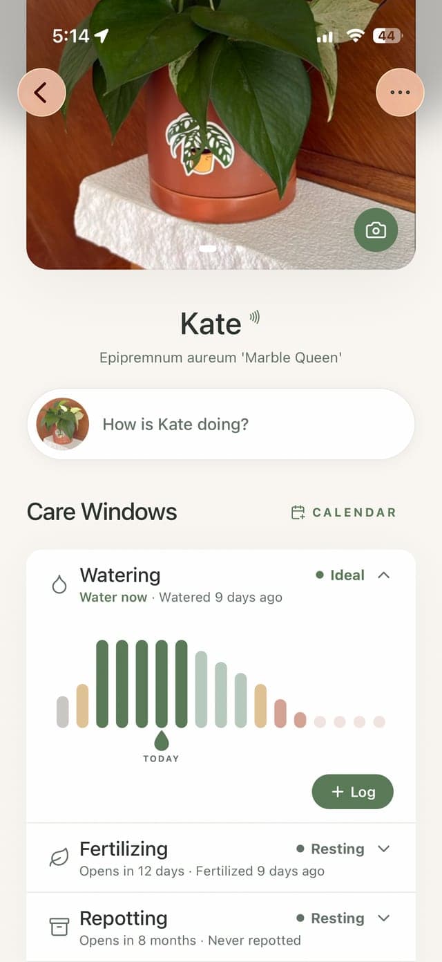 A plant's page in Canopy showing its care windows