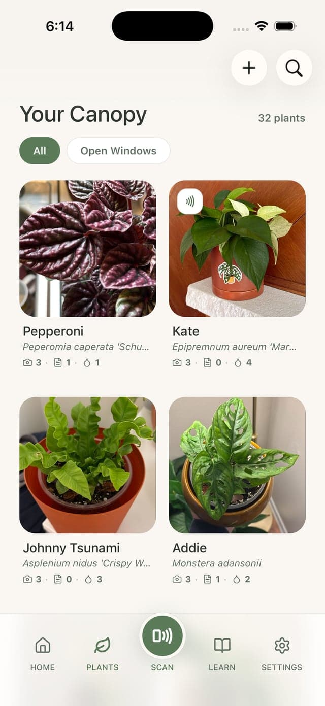 A plant collection in Canopy