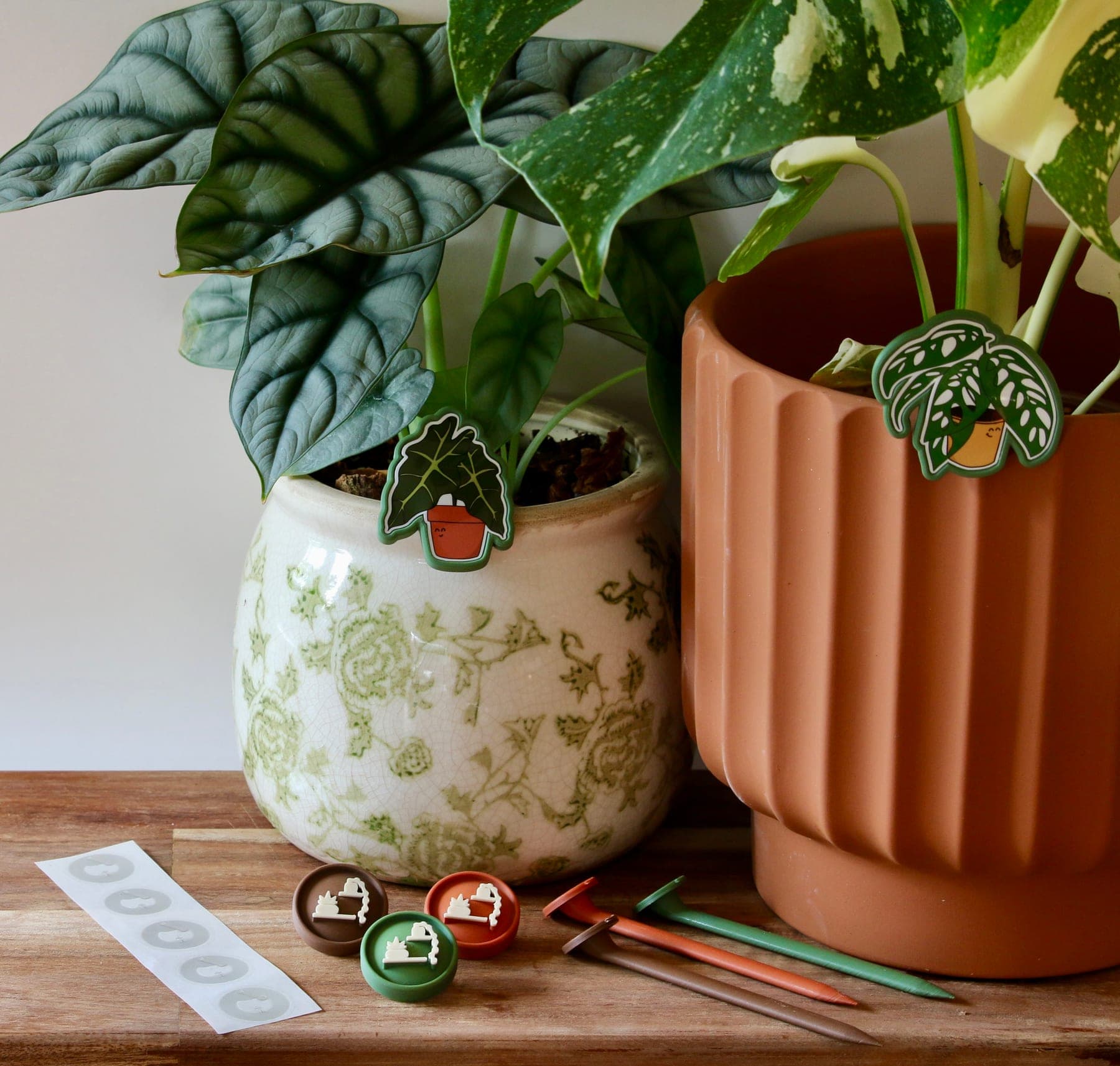 Two potted houseplants with Canopy Pals seated at the rim, beside loose Basic Pals and stakes on a wood table.