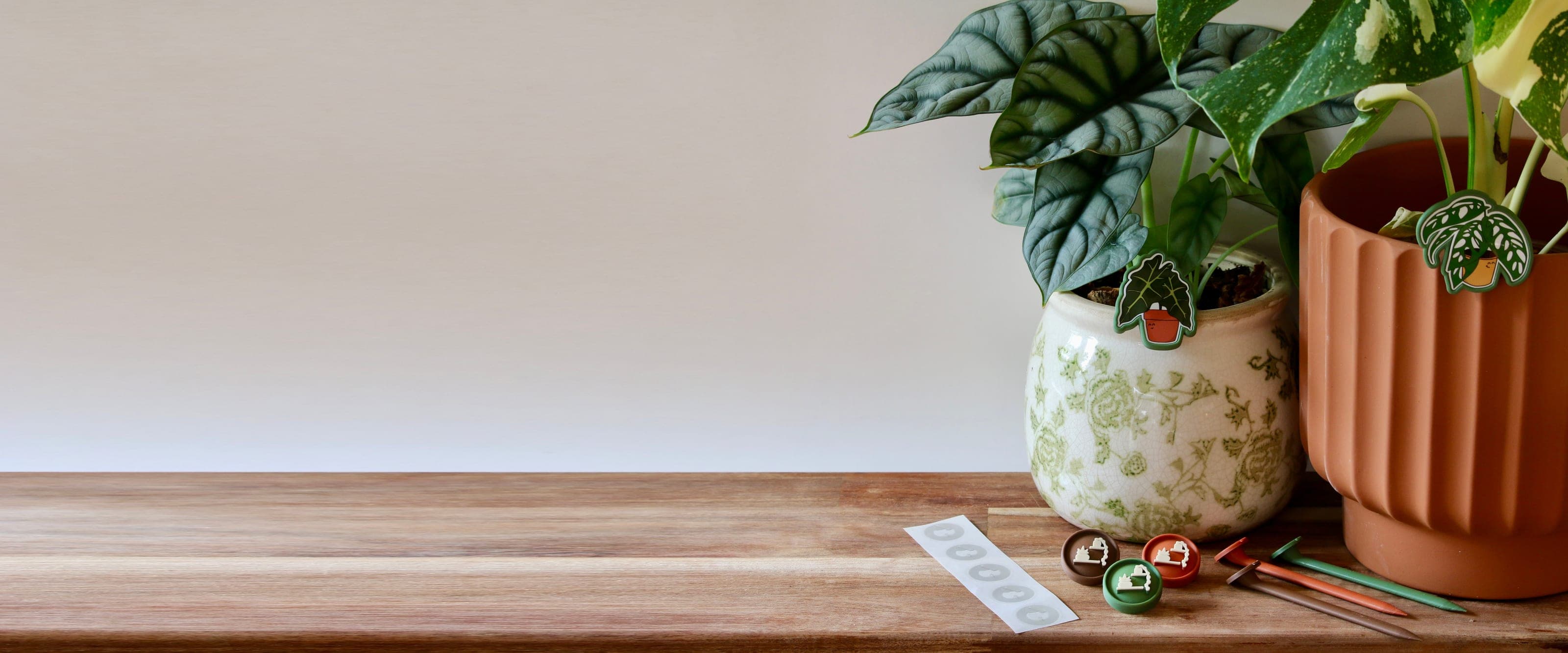 Two potted houseplants with Canopy Pals seated at the rim, beside loose Basic Pals and stakes on a wood table.