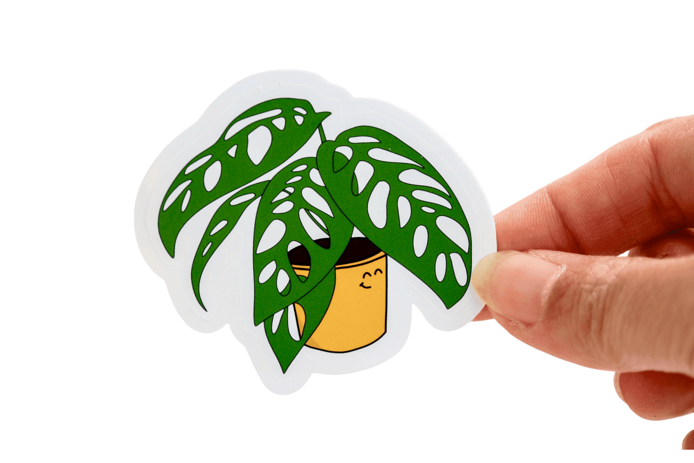 Addy — Monstera adansonii Canopy Pal sticker