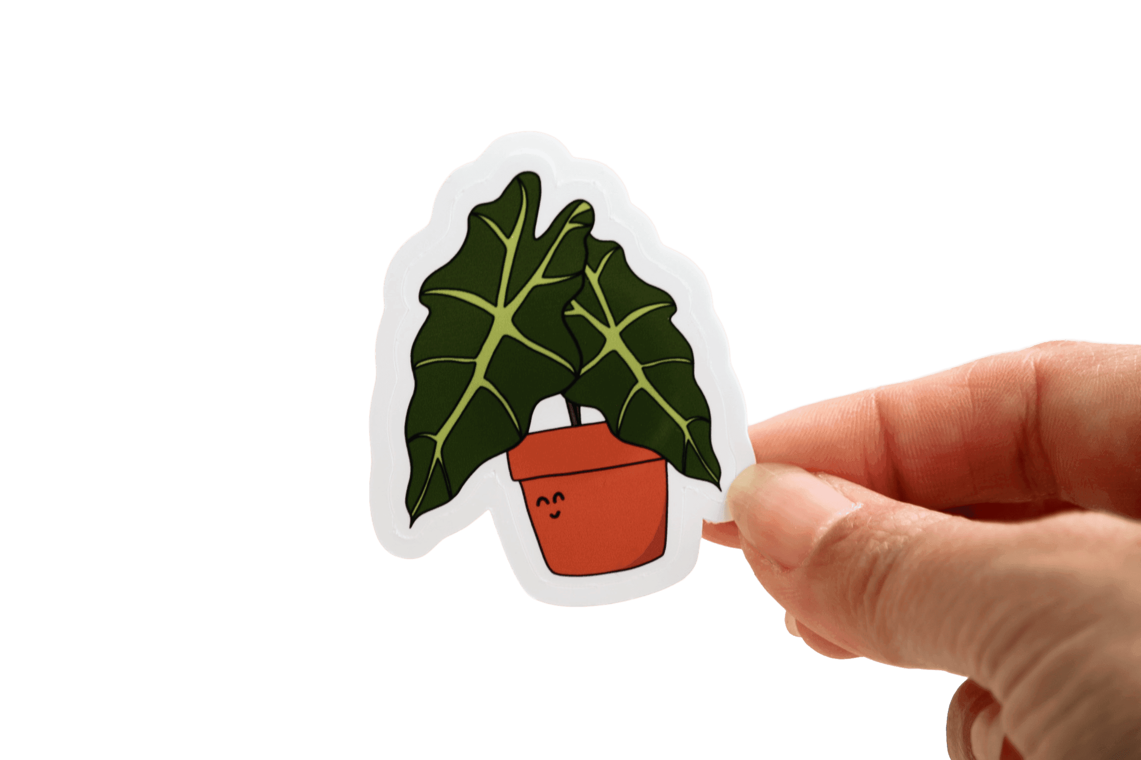 Ally — Alocasia Polly Canopy Pal sticker