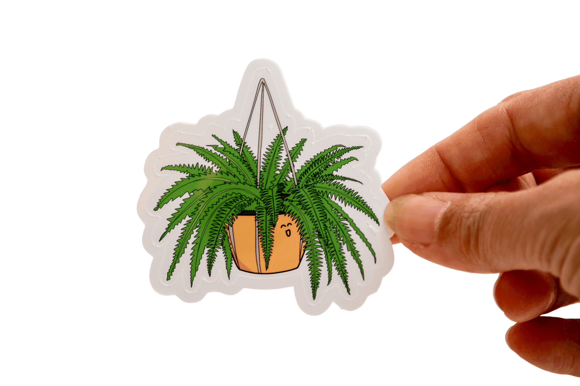 Fern — Nephrolepis exaltata Canopy Pal sticker