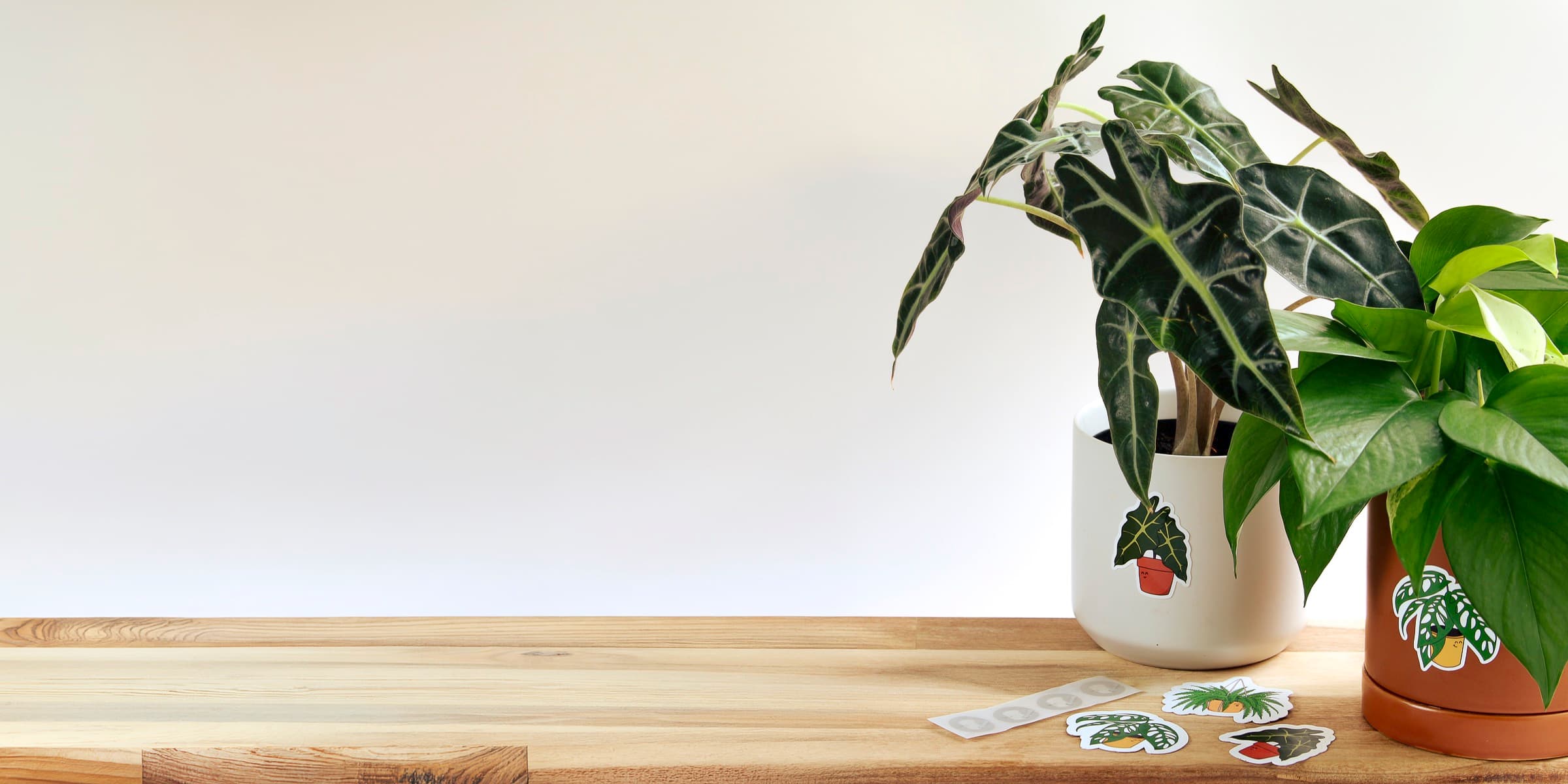 Two potted houseplants on a wood table wearing Canopy Pal character stickers, with extra NFC tags and Pal stickers laid out beside them.